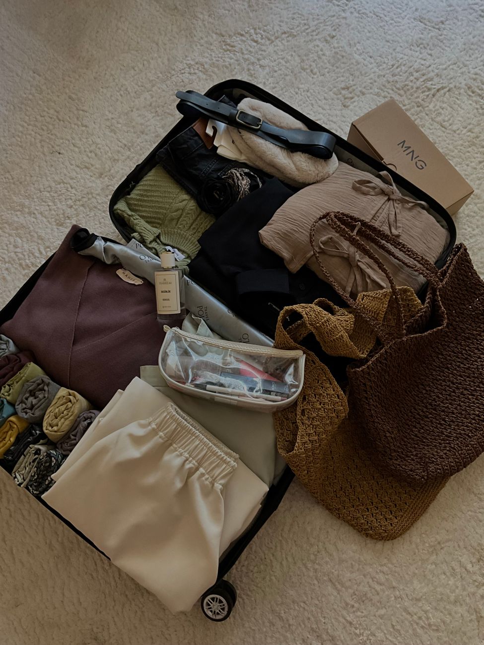 Minimalist Travel Luggage