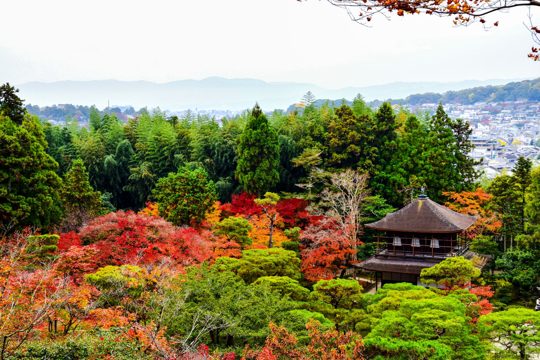 Asian Cultural Excursions